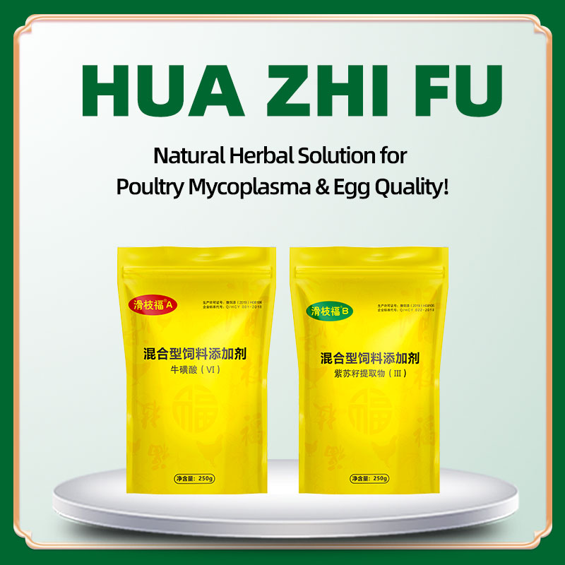 Hua Zhi Fu