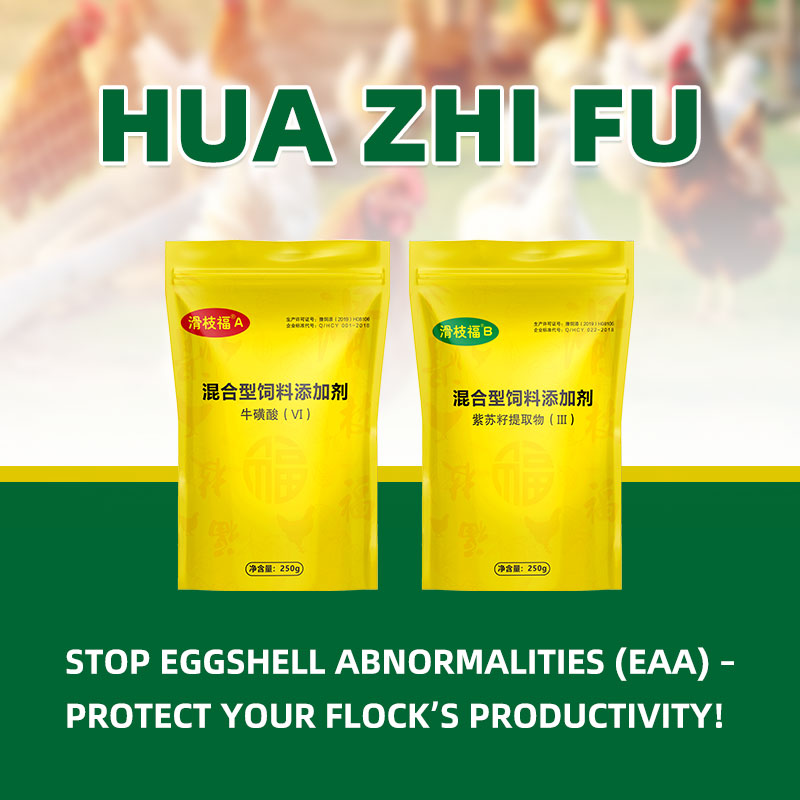Hua Zhi Fu