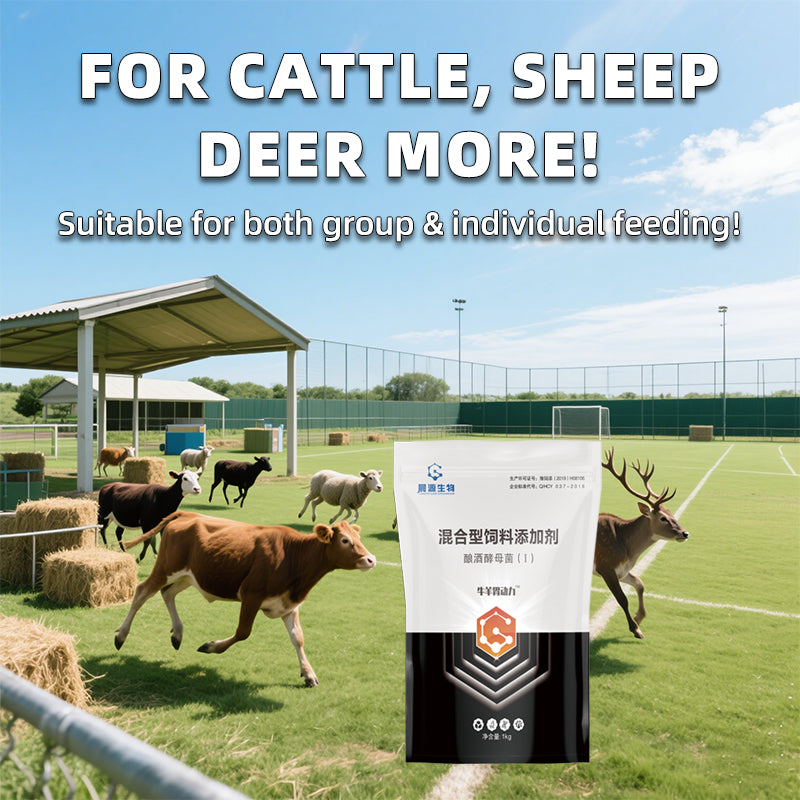 Ruminant Stomach Power