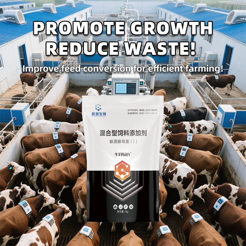 Ruminant Stomach Power 