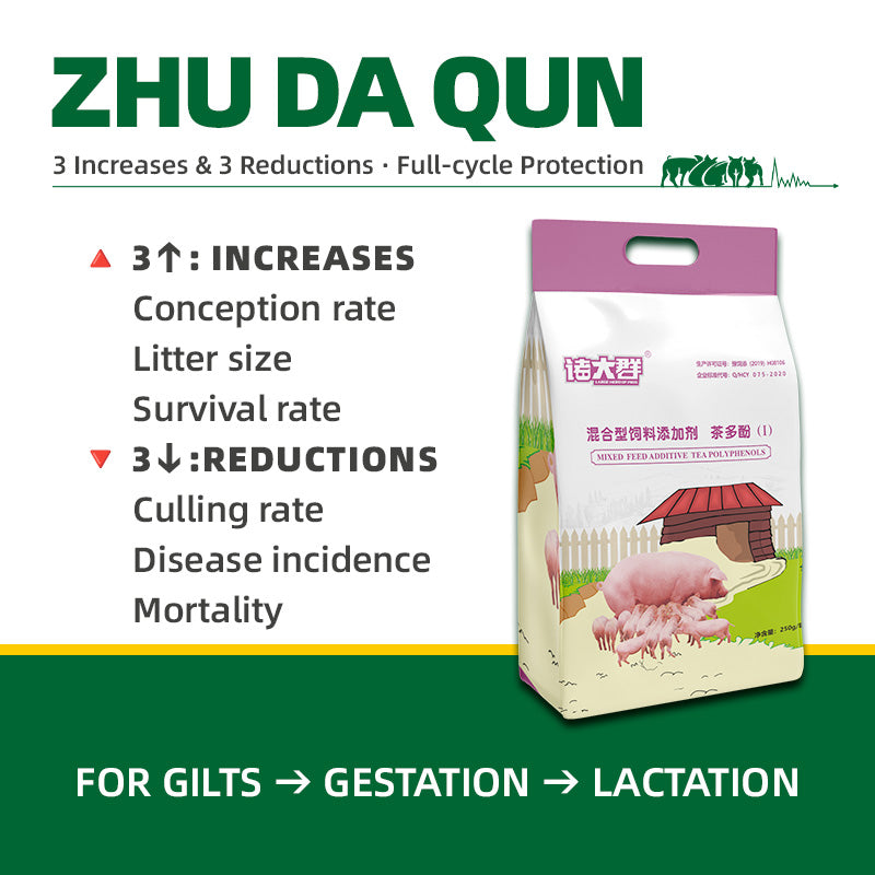 Zhu Da Qun