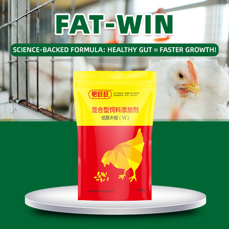 Fat Wangwang