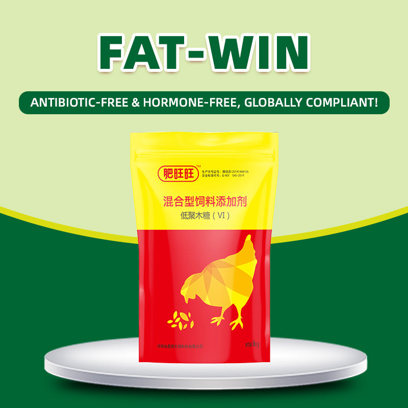 Fat Wangwang