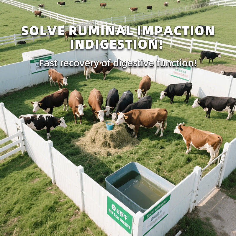 Ruminant Stomach Power 