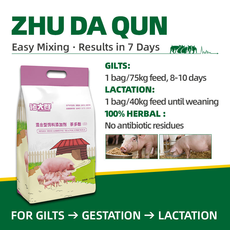 Zhu Da Qun