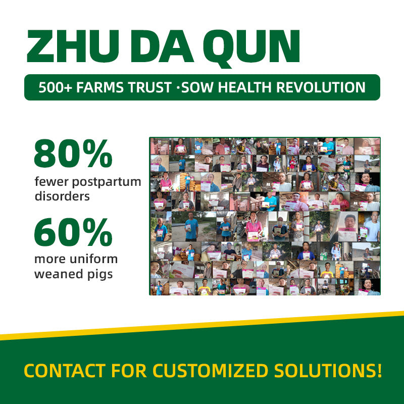 Zhu Da Qun
