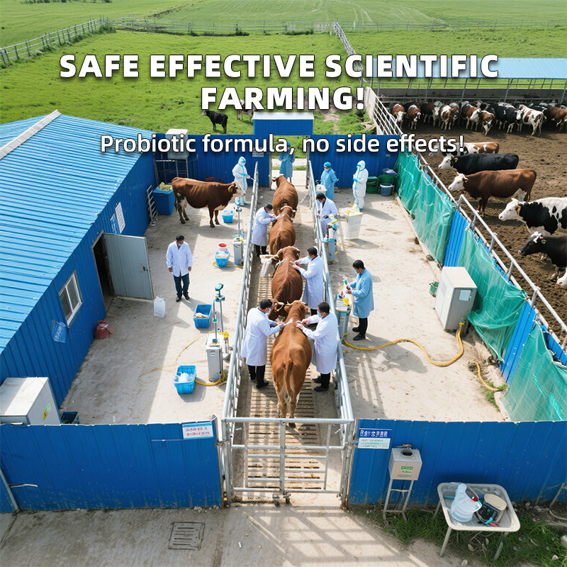 Ruminant Stomach Power 